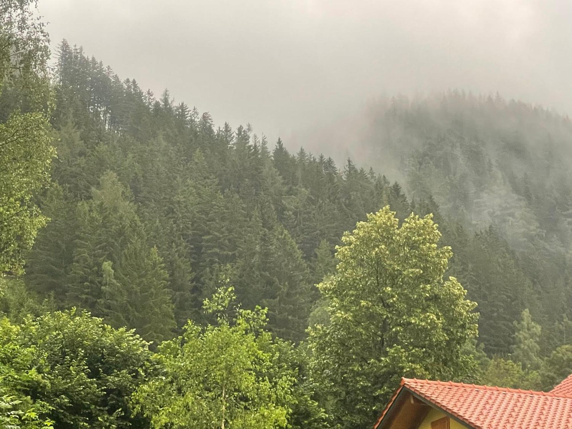 Gruener See Exklusiv Oberort Экстерьер фото